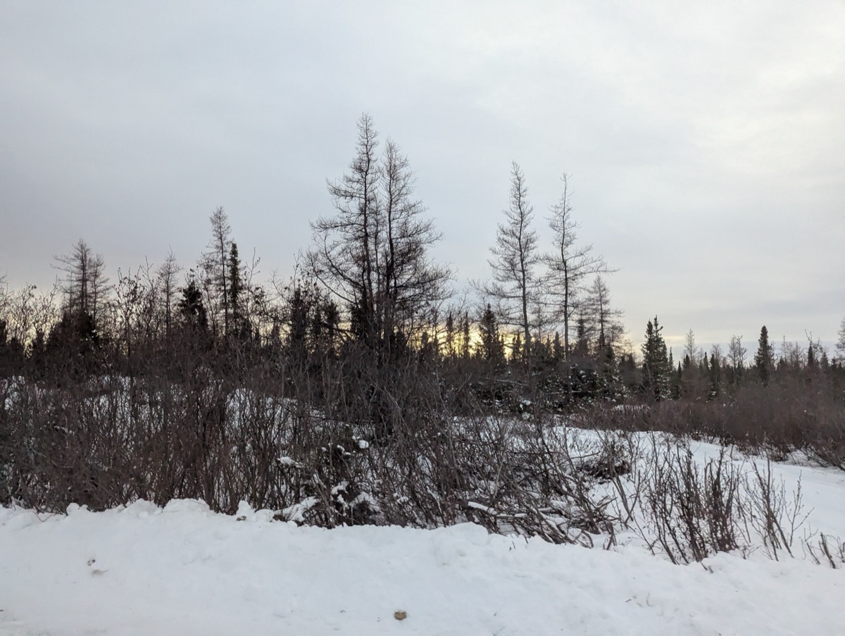Community photo from Kuujjuaq 6